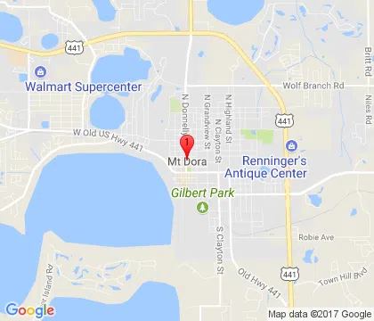 logo-image - mt-dora-fl